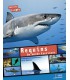 Requins - Un mande fascinant