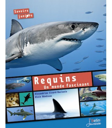 Requins - Un mande fascinant