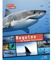 Requins - Un monde fascinant