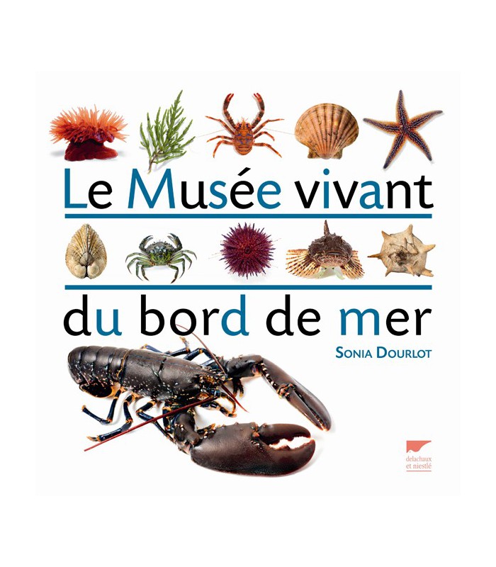 Le musée vivant du bord de mer Le musée vivant du bord de mer