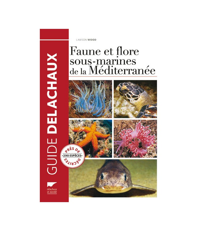 Faune et flore sous-marines de Méditerranée Faune et flore sous-marines de Méditerranée