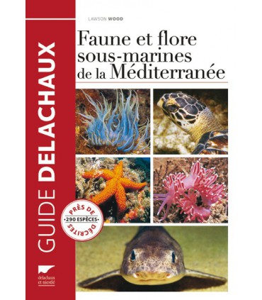 Faune et flore sous-marines de Méditerranée