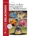 Faune et flore sous-marines de Méditerranée