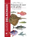 Poissons de mer et de pêche - Europe occidentale