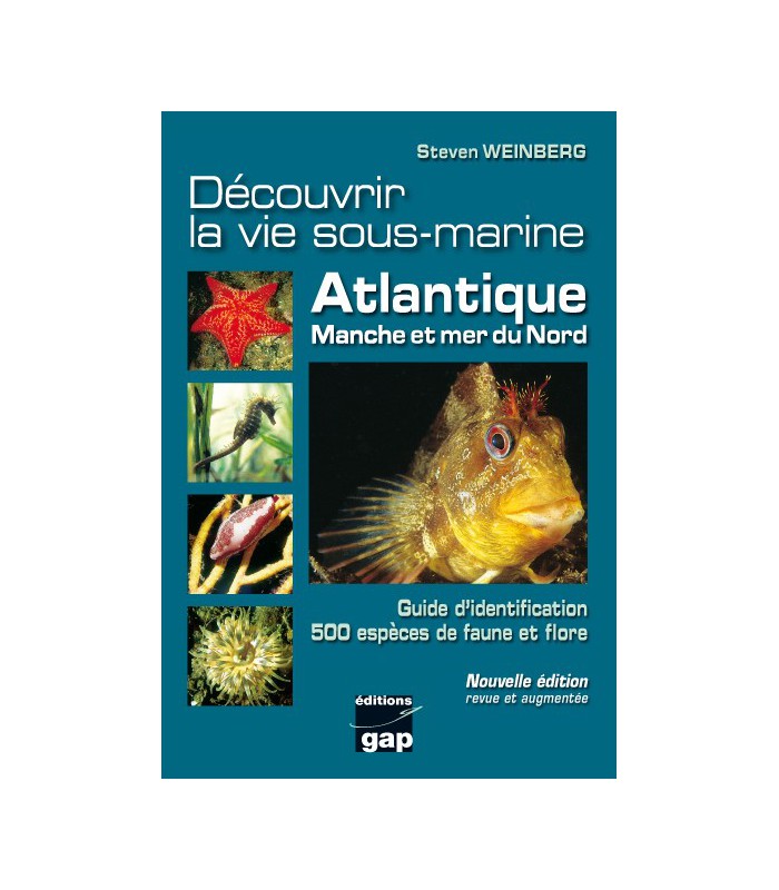 Découvrir la vie sous-marine Atlantique Manche Mer du Nord Découvrir la vie sous-marine Atlantique Manche Mer du Nord