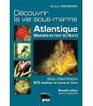 Découvrir la vie sous-marine - Atlantique, Manche, Mer du Nord