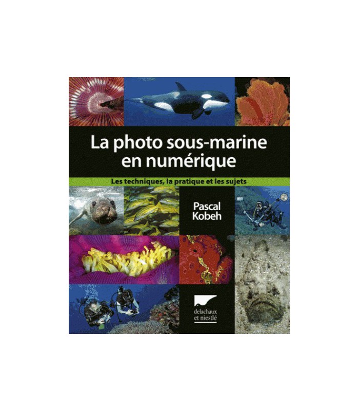La photographie sous-marine en numérique La photographie sous-marine en numérique