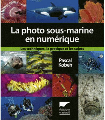 La photographie sous-marine en numérique