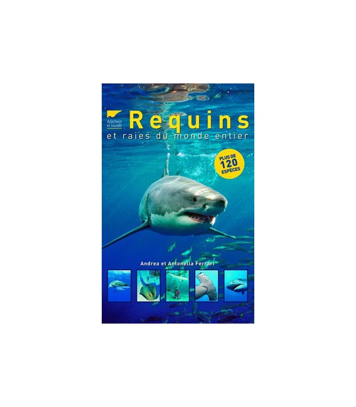 Requins et raies du monde entier Requins et raies du monde entier