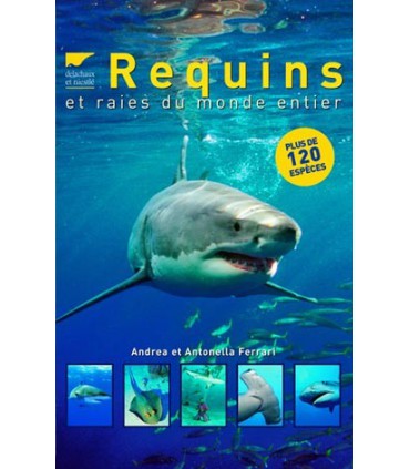 Requins et raies du monde entier