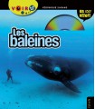 Voir les baleines