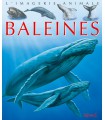 L'imagerie animale : baleines