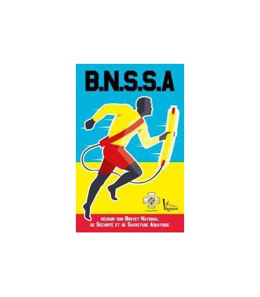 BNSSA 2017