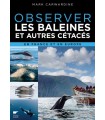 Observer les baleines et autres cétacés en France et en Europe