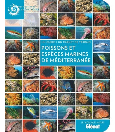 Poissons et espèces marines de Méditerranée