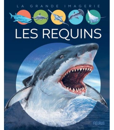 L'imagerie animale : requins