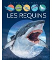 L'imagerie animale : requins
