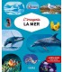 L'imagerie de la mer