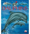 L'imagerie animale : dauphins
